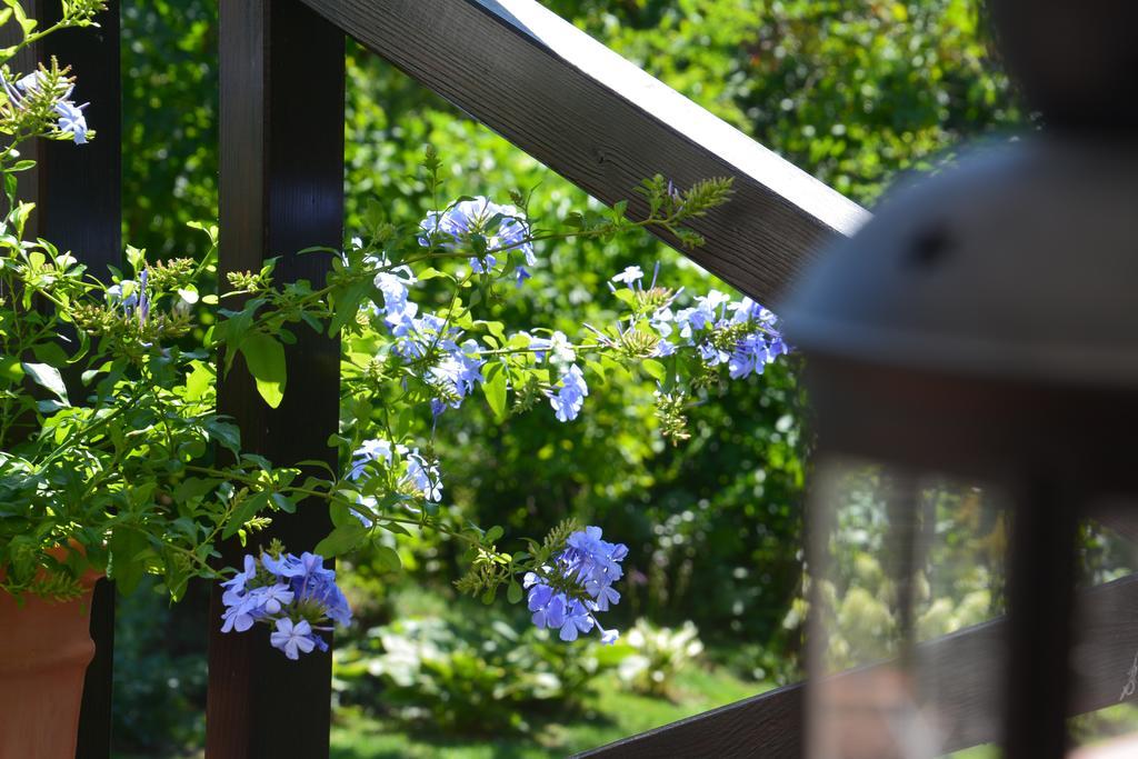 Lesna 6 - House With A Garden Villa Bolechowice ภายนอก รูปภาพ